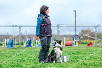 IMG_3221.jpg