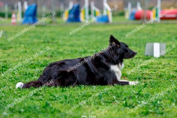 IMG_3226.jpg