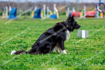 IMG_3232.jpg