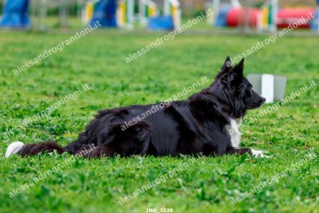 IMG_3238.jpg