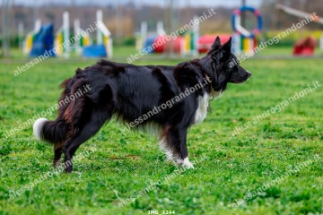 IMG_3244.jpg