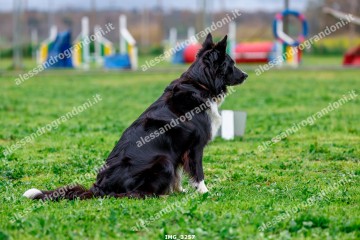IMG_3257.jpg