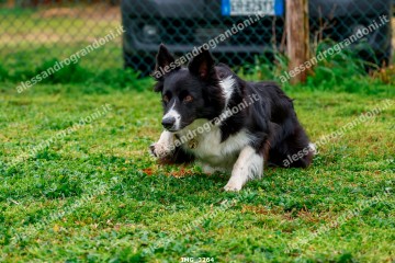 IMG_3264.jpg