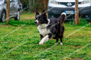 IMG_3273.jpg