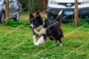 IMG_3274.jpg
