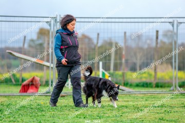 IMG_3304.jpg