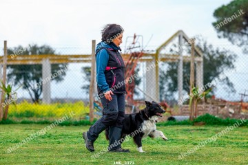 IMG_3373.jpg
