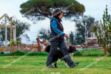 IMG_3382.jpg