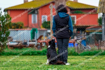 IMG_3408.jpg