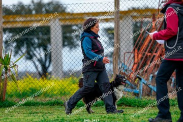 IMG_3417.jpg