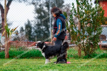 IMG_3424.jpg