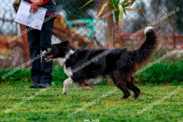 IMG_3428.jpg