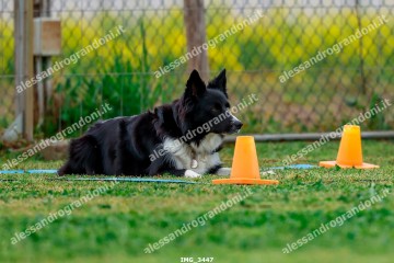 IMG_3447.jpg