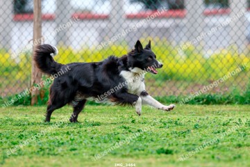 IMG_3464.jpg