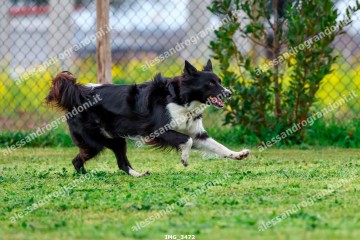IMG_3472.jpg