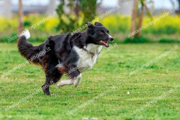 IMG_3491.jpg