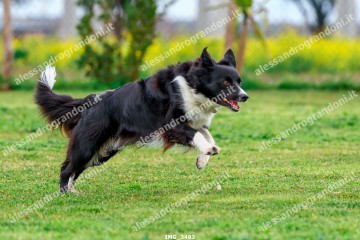 IMG_3493.jpg