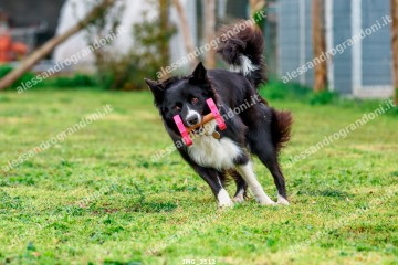 IMG_3512.jpg