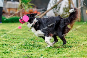 IMG_3515.jpg