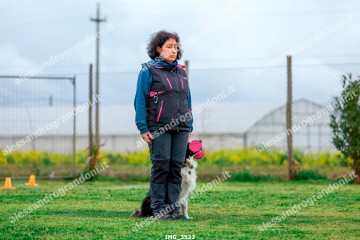 IMG_3532.jpg
