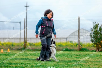 IMG_3547.jpg