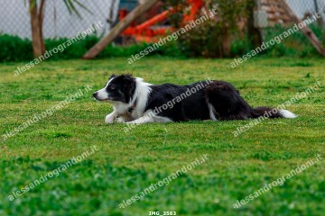 IMG_3583.jpg