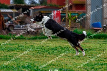 IMG_3592.jpg