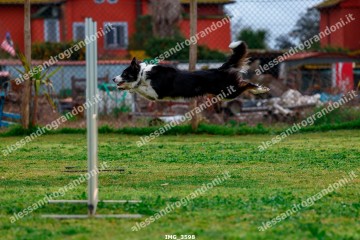 IMG_3598.jpg