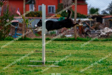 IMG_3600.jpg
