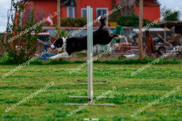 IMG_3602.jpg