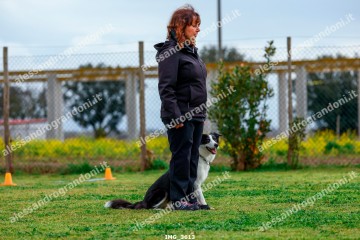 IMG_3613.jpg
