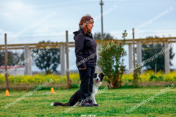 IMG_3618.jpg