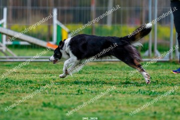 IMG_3628.jpg