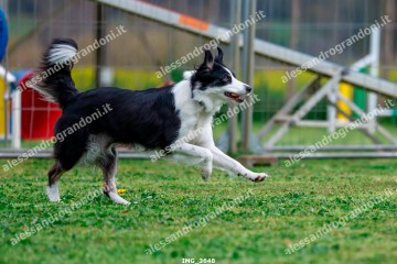IMG_3648.jpg