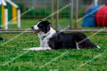 IMG_3676.jpg