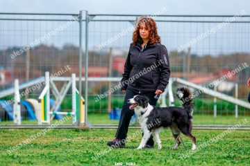 IMG_3682.jpg