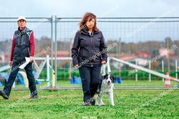 IMG_3690.jpg