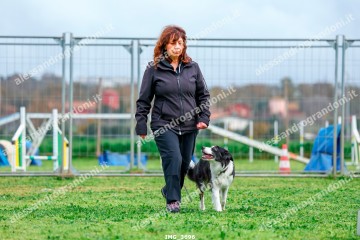 IMG_3696.jpg