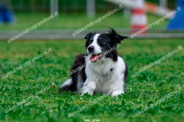 IMG_3709.jpg