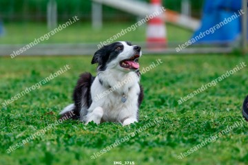 IMG_3715.jpg