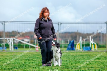 IMG_3731.jpg