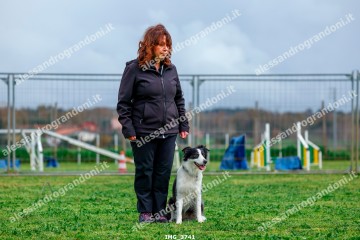 IMG_3741.jpg