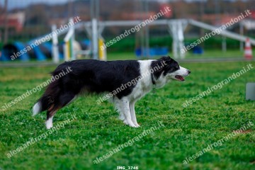 IMG_3746.jpg