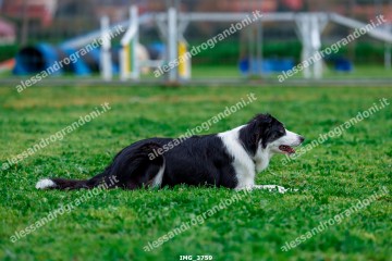 IMG_3759.jpg