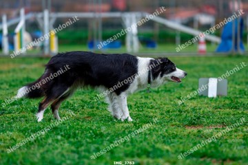IMG_3763.jpg