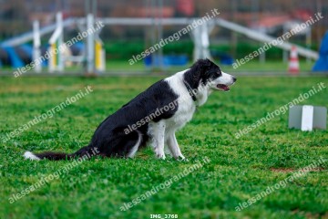 IMG_3768.jpg