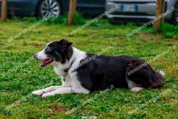 IMG_3780.jpg