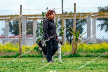 IMG_3819.jpg