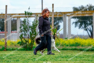 IMG_3825.jpg