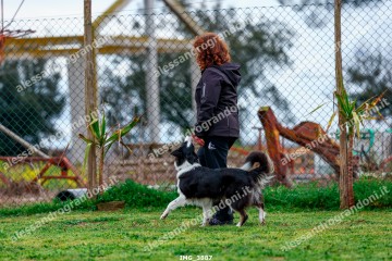 IMG_3887.jpg